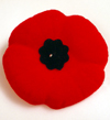 Remembrance Day 2022: A Reading List
