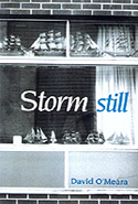 Storm Still